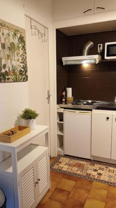 Appartamento Petit Mignon - Hypercentre Tolosa Esterno foto